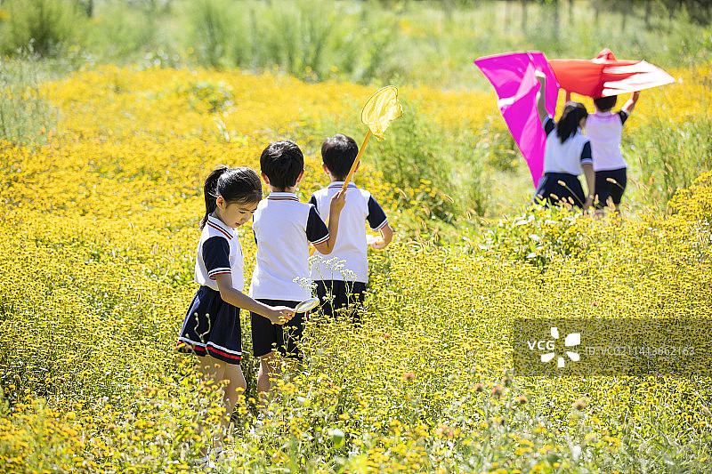 快乐的小学生在户外探索自然图片素材