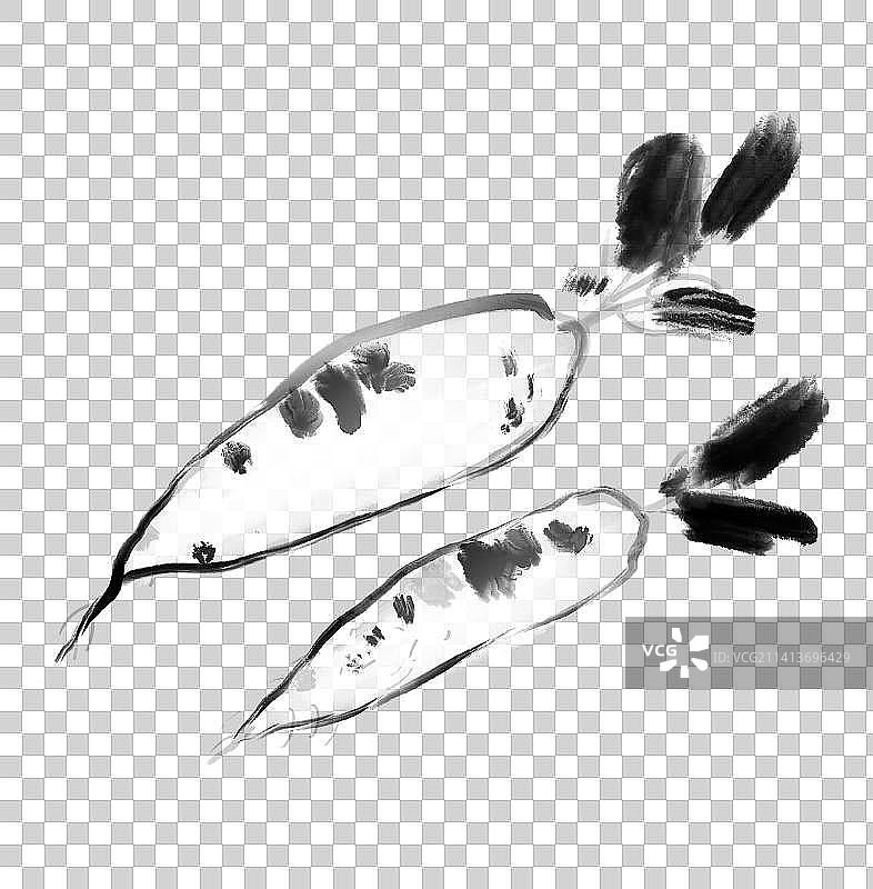 中国画传统文化季节蔬菜水果插画设计元素萝卜图片素材