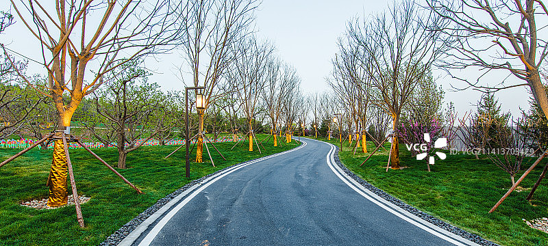 宁静的小路图片素材