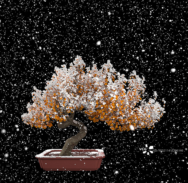 下雪图片素材