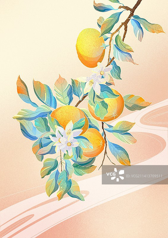 橘子手绘包装PSD插画图片素材