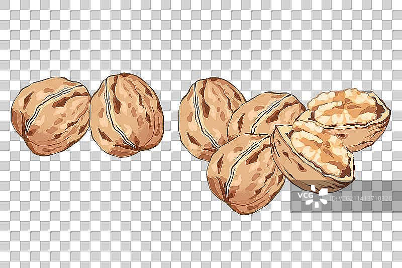 新年除夕春节美食系列核桃插画元素图片素材