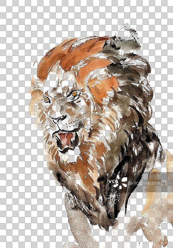 威武的狮子图片素材