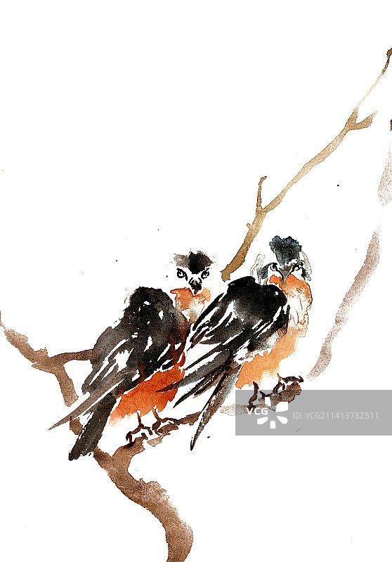 两只小鸟图片素材