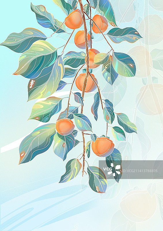 柿柿如意 柿子红了图片素材