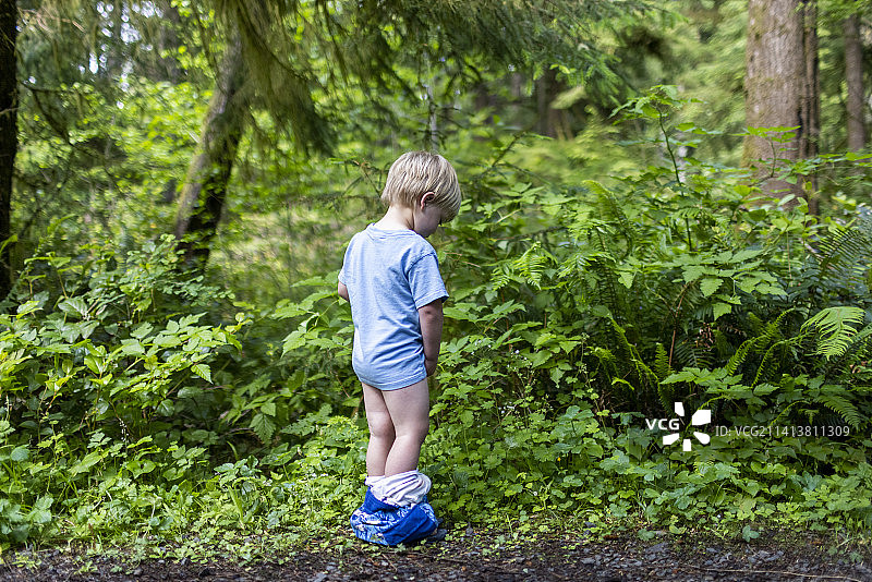 Manzanita旅行图片素材