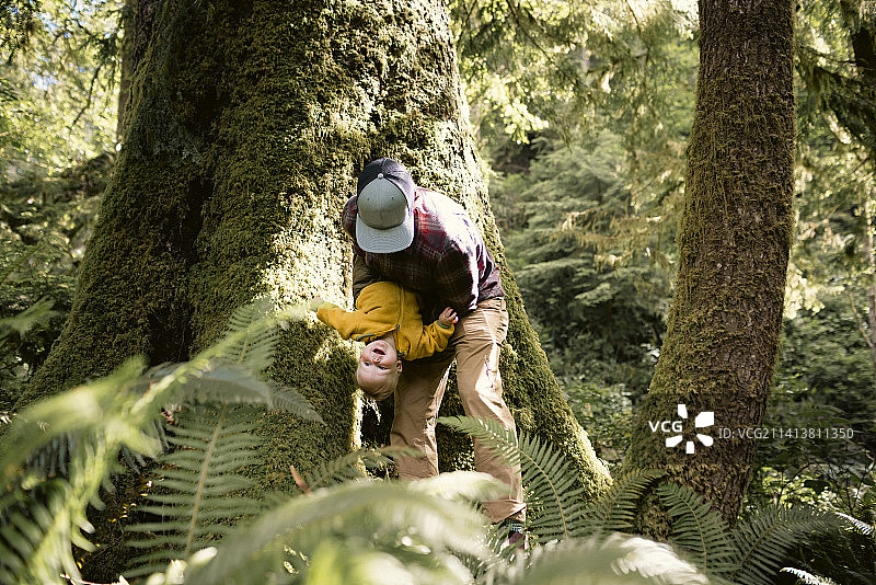 Manzanita旅行图片素材