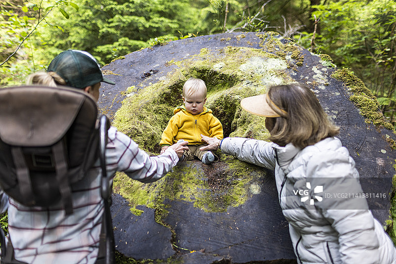 母亲和祖母抱着一个年幼的婴儿，站在森林里一根倒下的原木中间图片素材