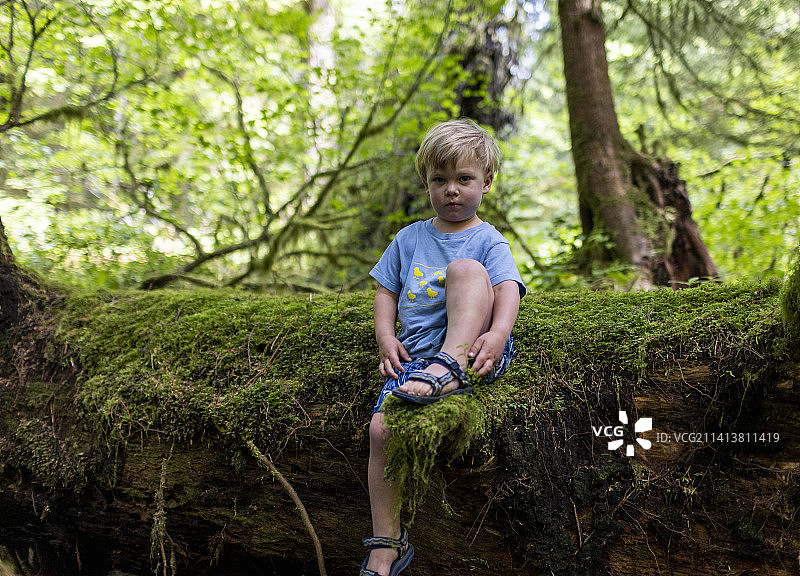 坐在森林里倒下的树干上的男孩图片素材
