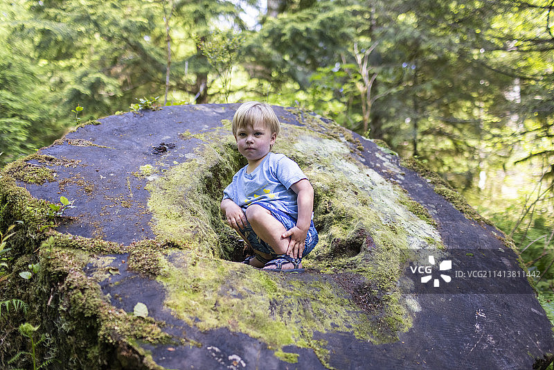 坐在森林里倒下的树干上的男孩图片素材