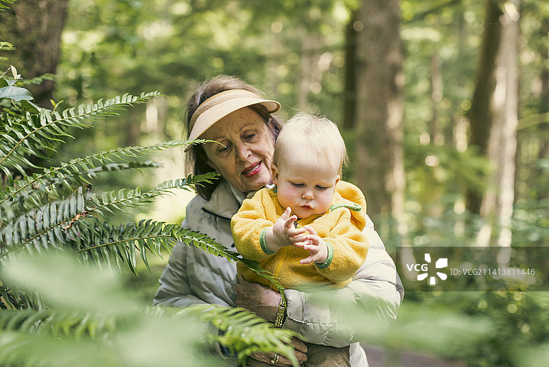 Manzanita旅行图片素材