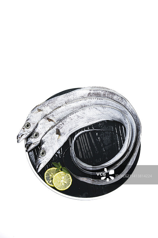 白底上的带鱼图片素材