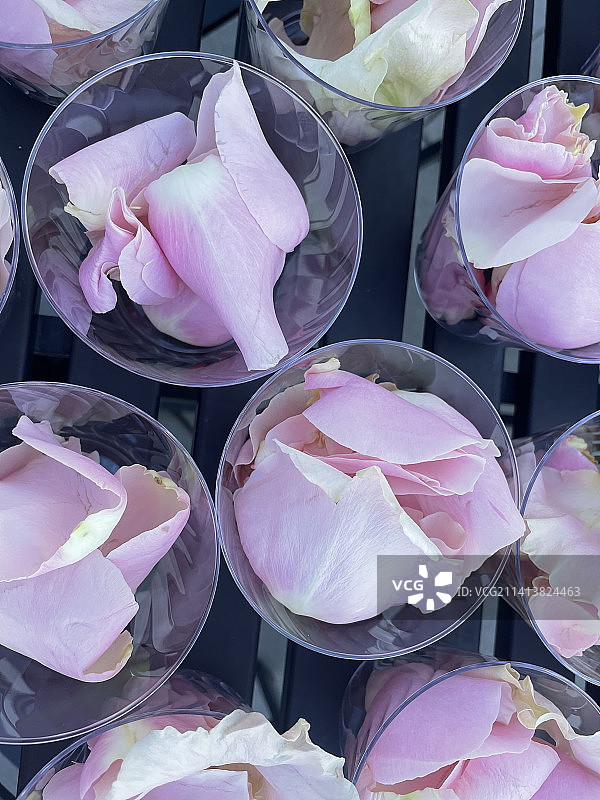 粉色玫瑰的高角度视图图片素材