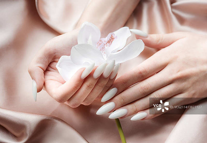 在指甲上做了白色美甲的年轻女人的手，乌克兰图片素材