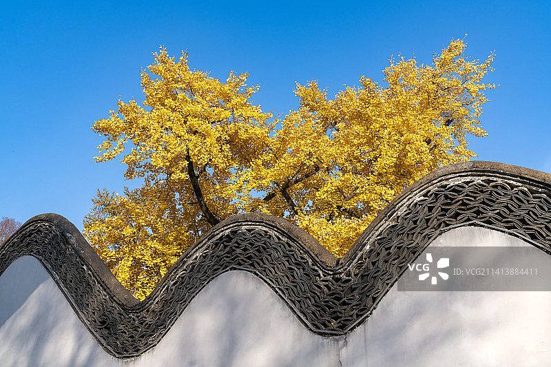 墙外秋色图片素材