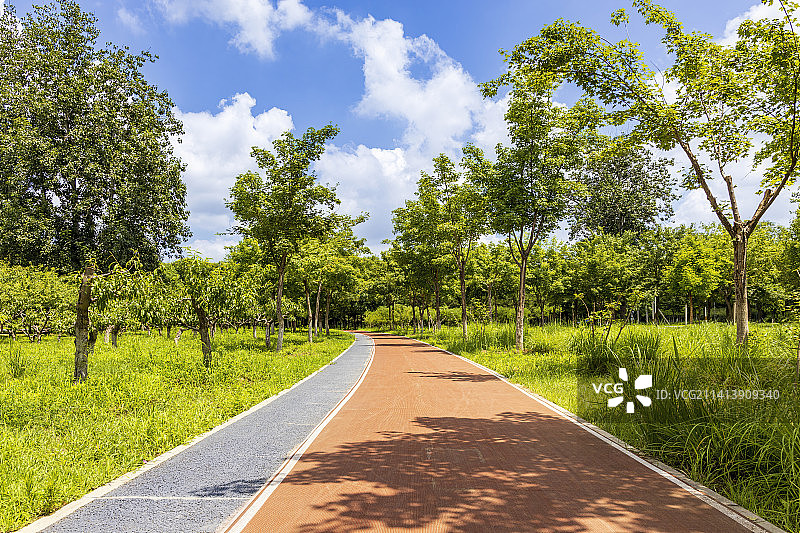 北京中关村森林公园健身跑道图片素材