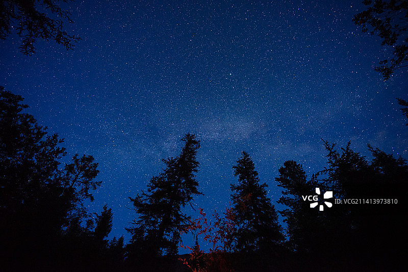 中国新疆阿勒泰喀纳斯森林的星空图片素材
