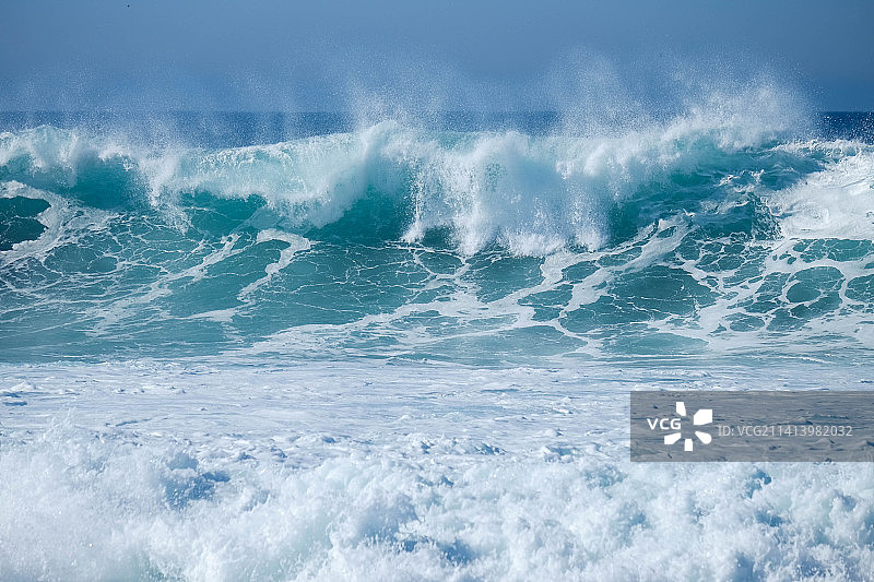 加州蒙特雷海岸边的巨浪和水鸟图片素材