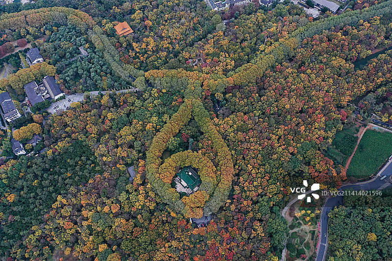 秋景 021图片素材