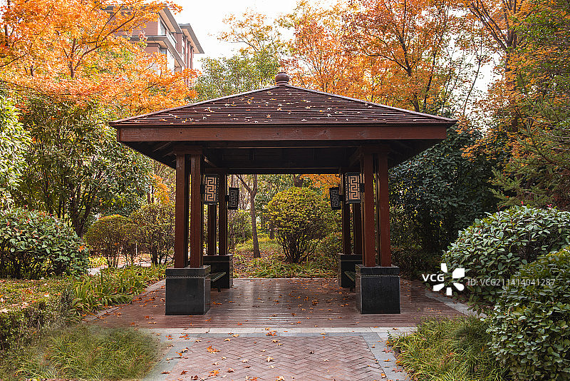 郊外豪华别墅小区秋天风光图片素材