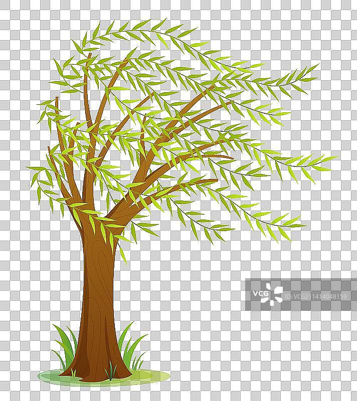 清明柳树插画图素2图片素材