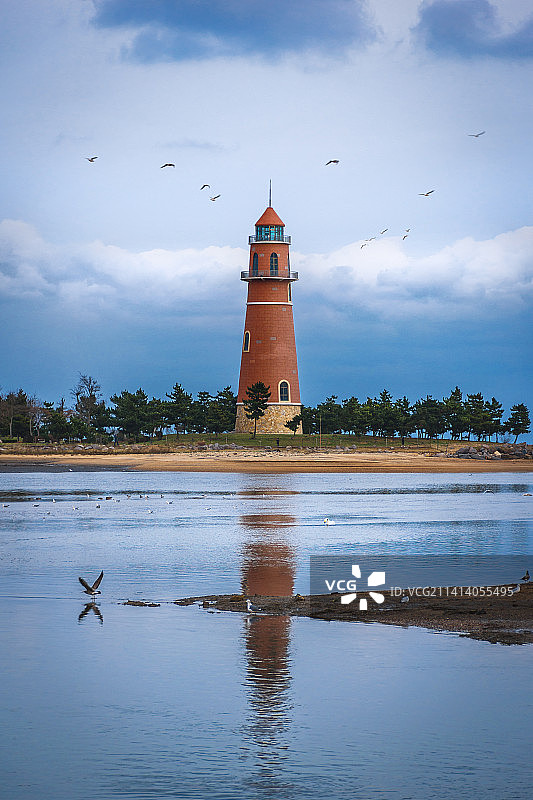 海边的海鸥与灯塔图片素材