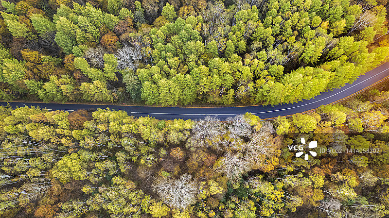伊春乌带路之秋图片素材