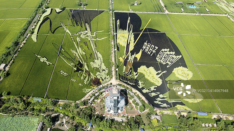 夏日，航拍沈阳一处叫做“稻梦空间”的旅游景点，田野里的稻田画栩栩如生，绿意盎然。图片素材