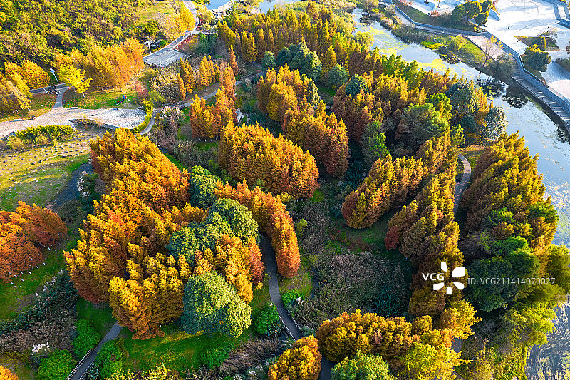 花溪十里河滩湿地公园图片素材