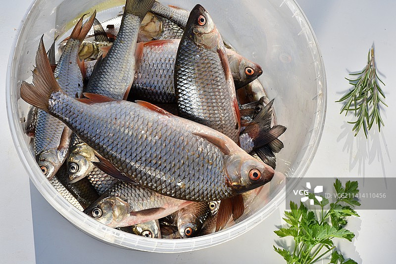 法国碗里的鱼俯视角度照片图片素材