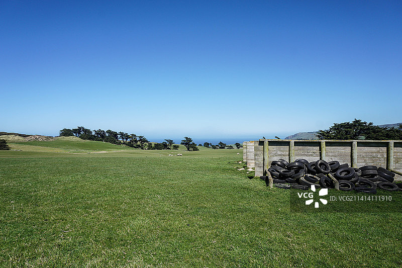 晴空下奥塔哥半岛的田野风光，新西兰图片素材