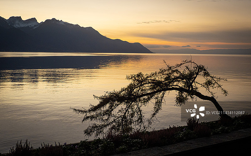 瑞士蒙特勒日落时分的海景图片素材