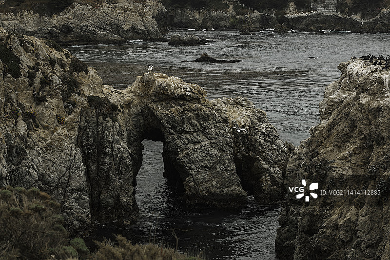 洛博斯角岛鸟类步道，洛博斯角自然保护区，美国图片素材