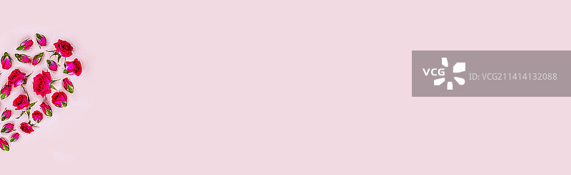 白色背景上的粉色花朵特写，美国图片素材