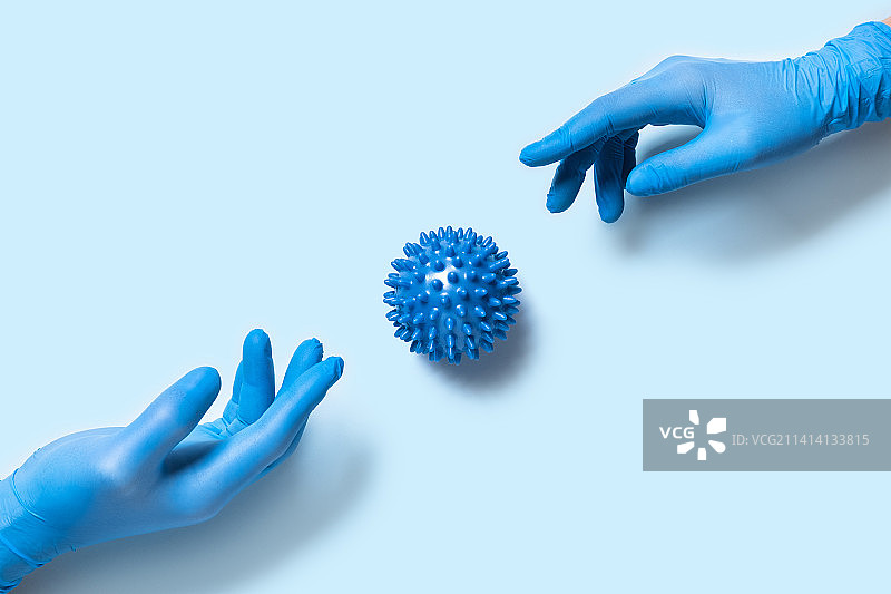 裁剪的手外科医生戴手套和手套在蓝色背景，美国，美国图片素材