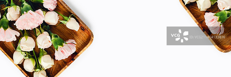 美国白色背景鲜花高角度视图图片素材