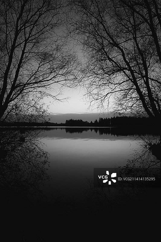 日落时分爱尔兰阿斯隆湖边树木的轮廓图片素材