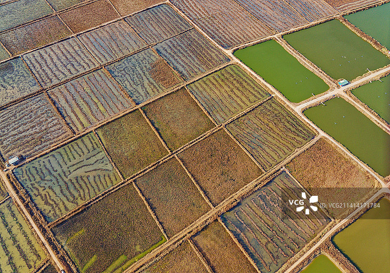 陕西大荔黄河湿地冬季航拍风光图片素材