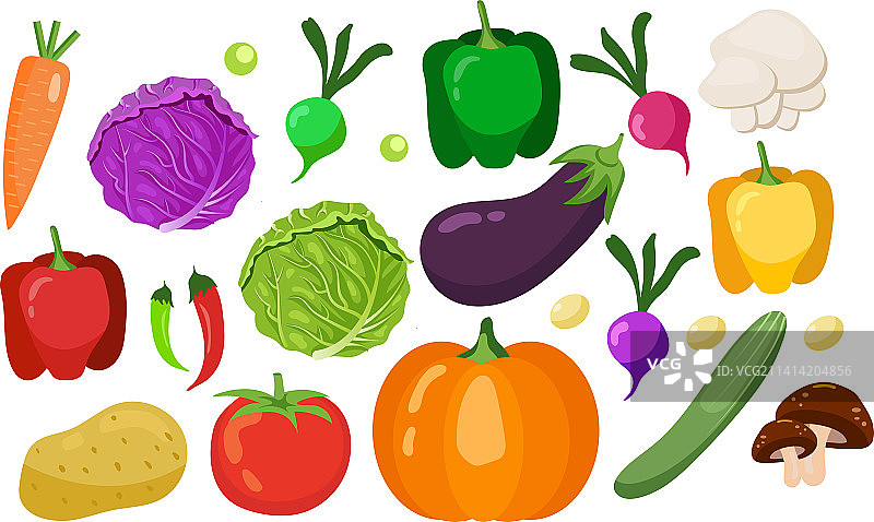 新鲜蔬菜素材集合矢量插画图片素材