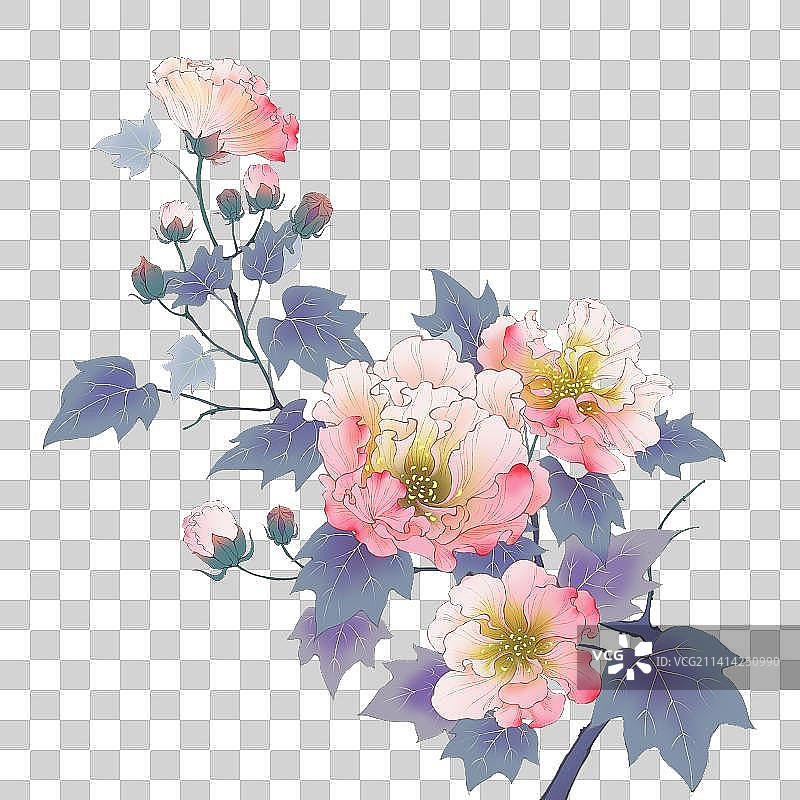 国风芙蓉牡丹芍药插画图片素材