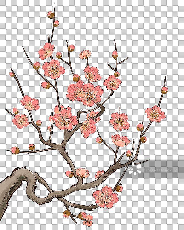 国风梅花插画图片素材