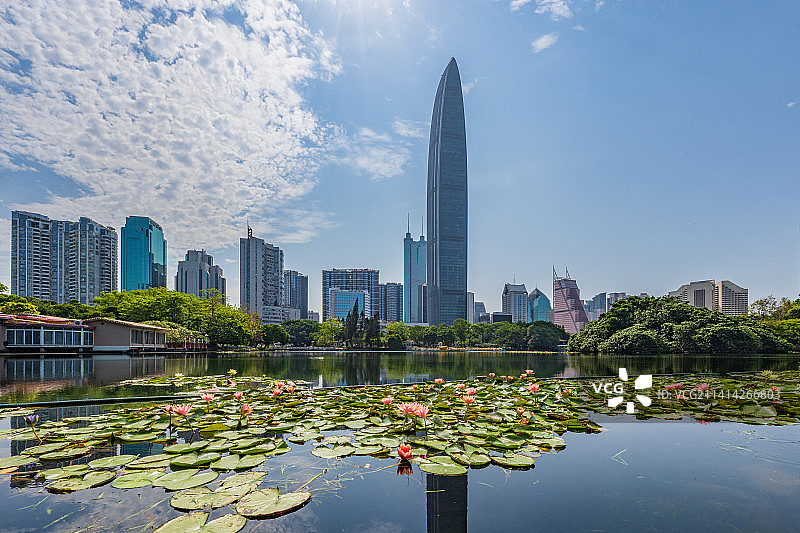 中国深圳茘枝公园白昼风景图片素材