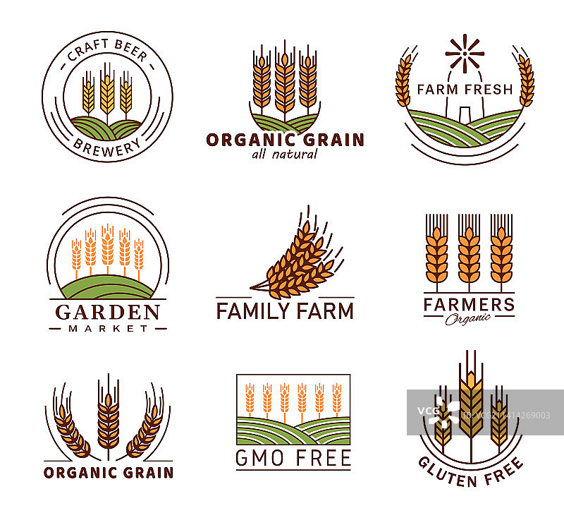 谷物图标：小麦、麦穗、大麦、黑麦、小米图片素材