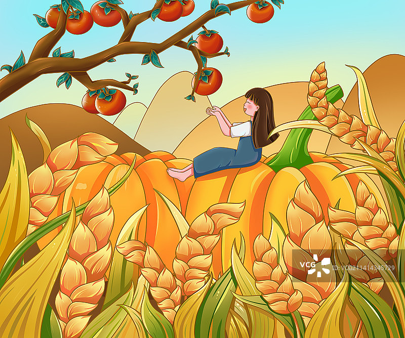 扁平插画/节气插画/秋季图片素材