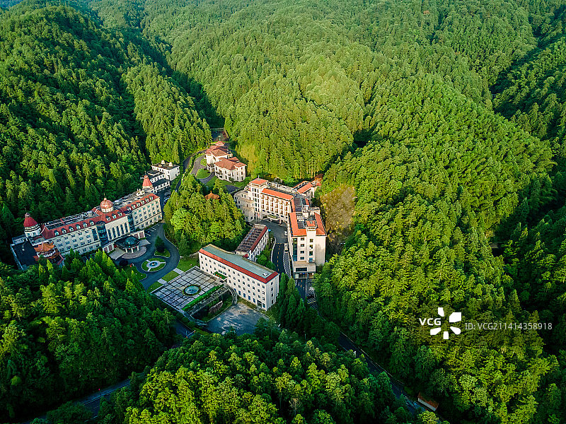 井冈林海图片素材