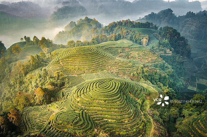 大地的指纹图片素材