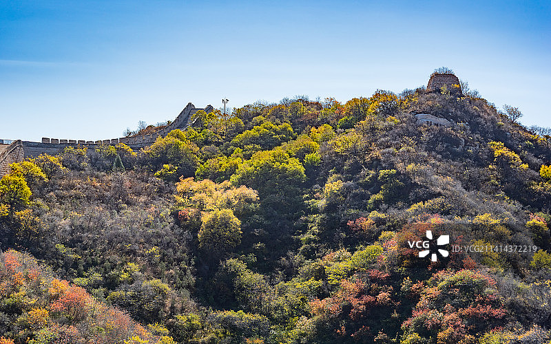 秋天北京八达岭国家森林公园红叶岭长城图片素材