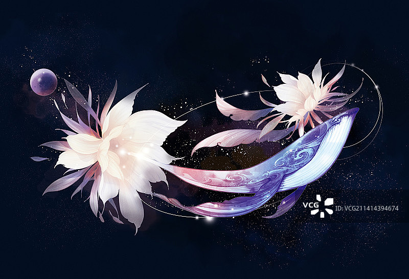 鲸鱼，昙花，插画图片素材