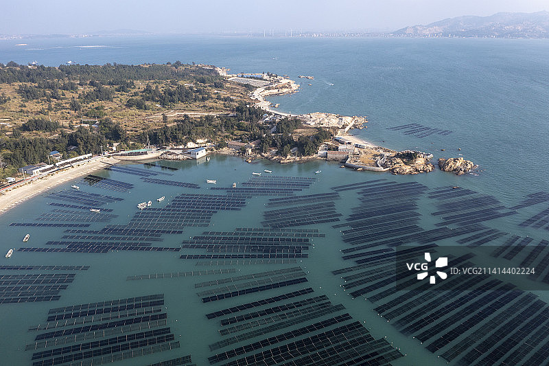 紫菜第一村 下蒋村图片素材