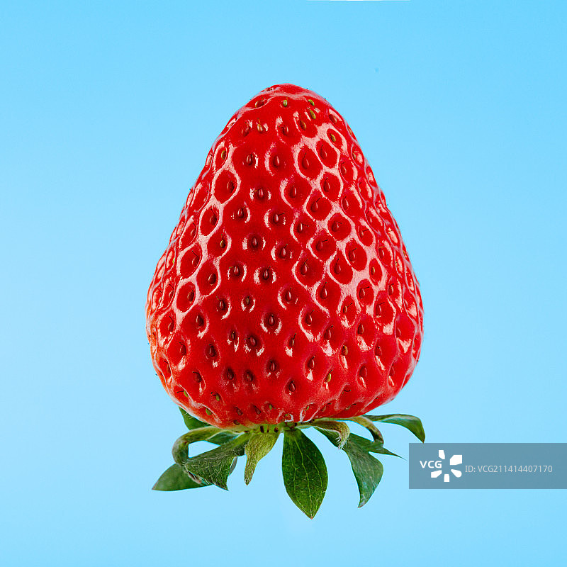 新鲜的草莓孤立在蓝色背景上图片素材
